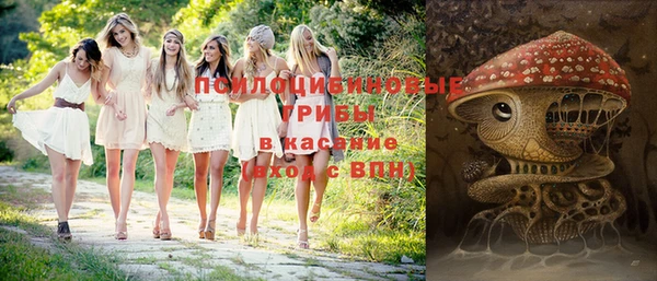 твердый Алзамай