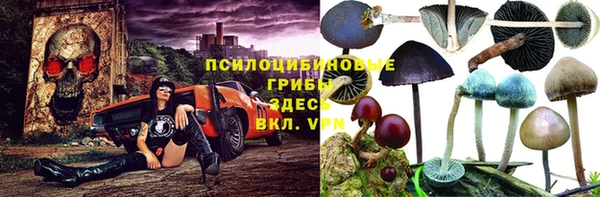 mdpv Рославль