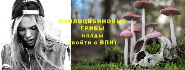 твердый Алзамай