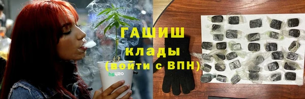 твердый Алзамай