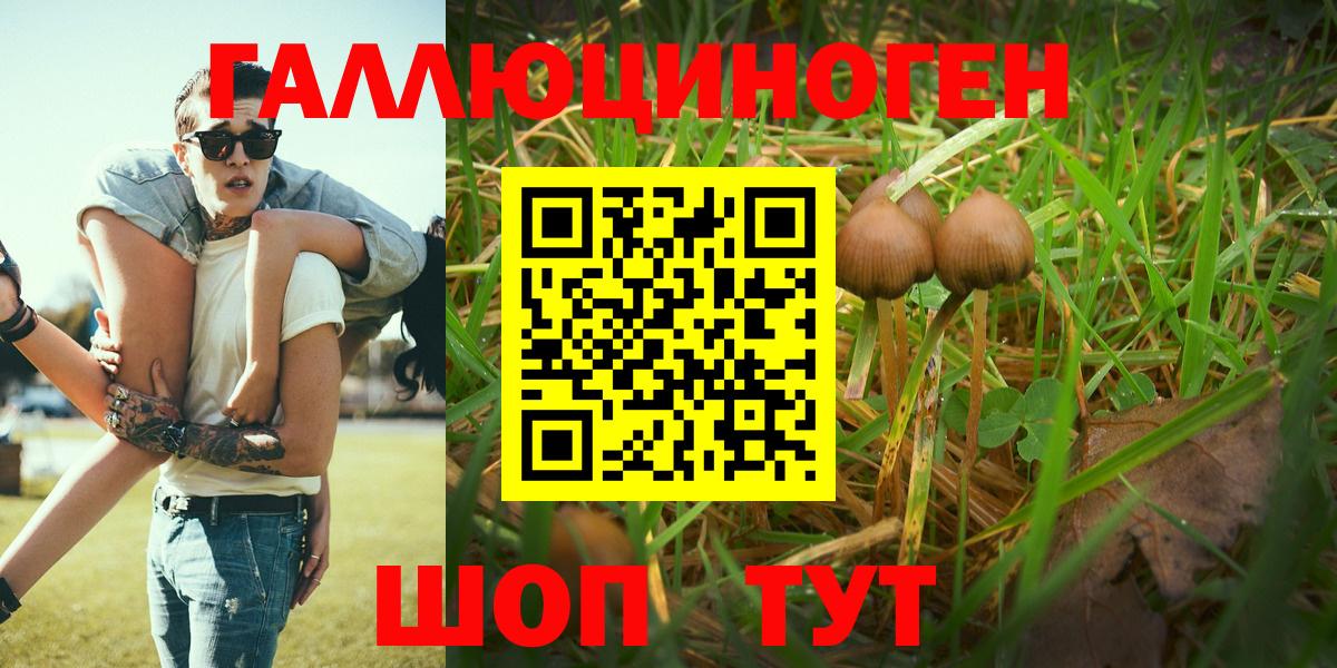 Псилоцибиновые грибы Magic Shrooms  Вход с VPN  купить наркотики цена  Амурск 