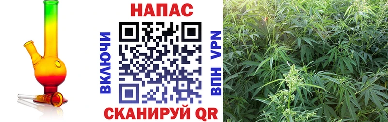 дарнет шоп Амурск Бошки Шишки OG Kush